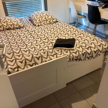 Superbe Appartement Avec Terrasse Toulouse Dış mekan fotoğraf