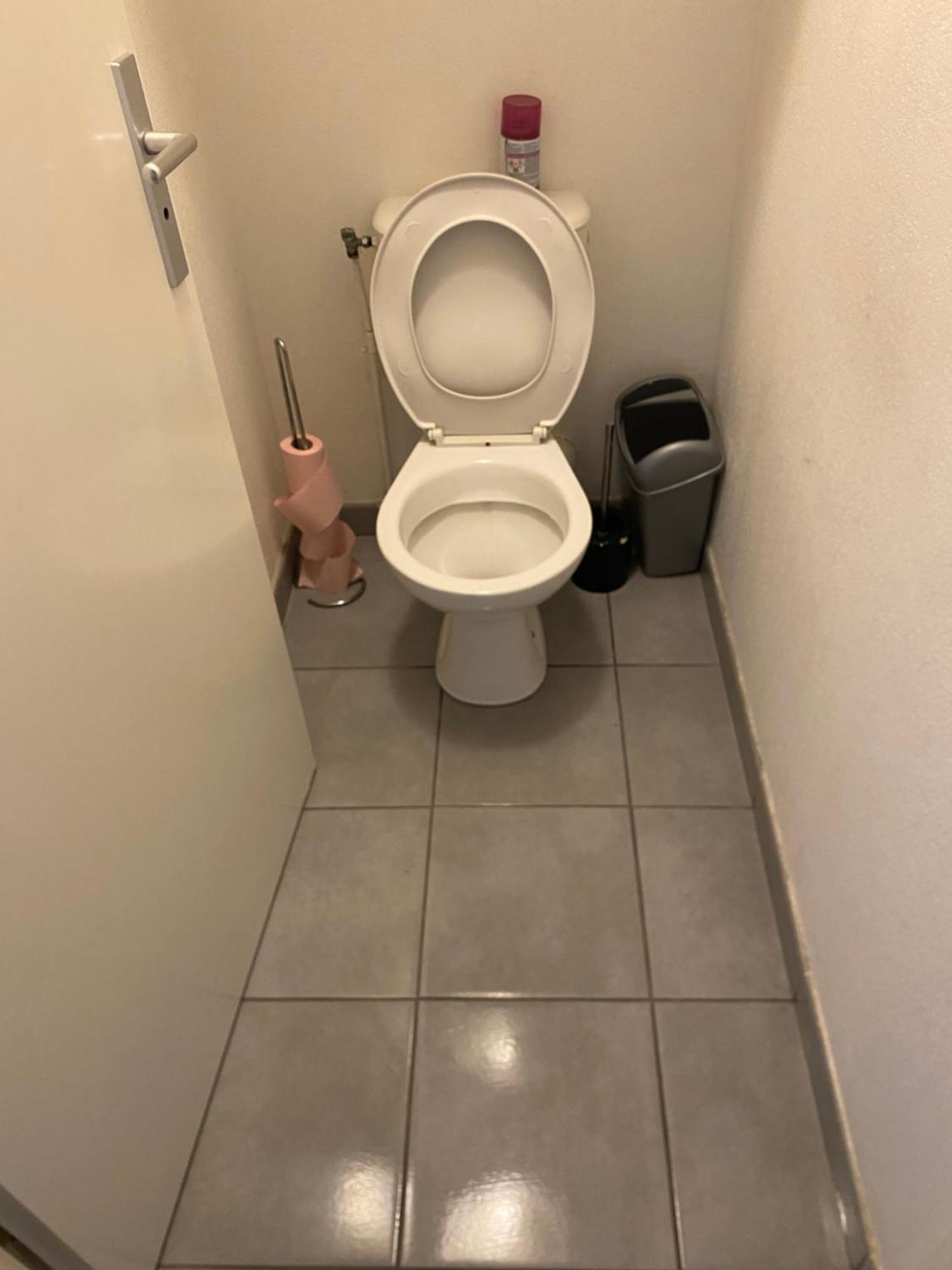 Superbe Appartement Avec Terrasse Toulouse Dış mekan fotoğraf
