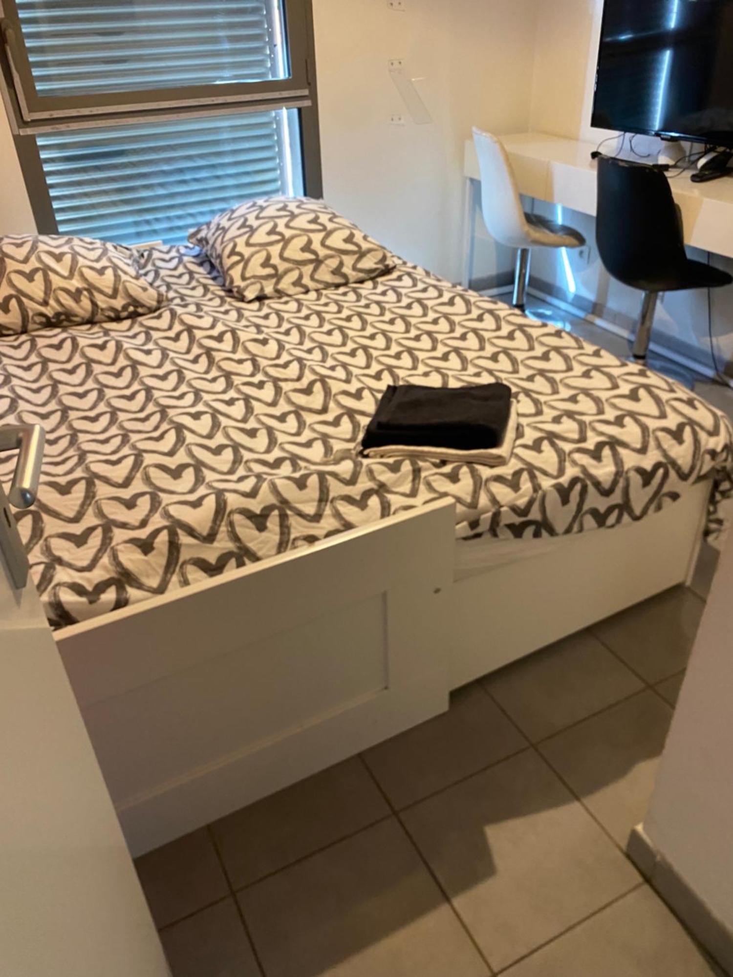 Superbe Appartement Avec Terrasse Toulouse Dış mekan fotoğraf